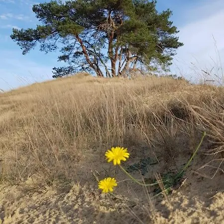 Vintage Relax Met Fijne Hottub *