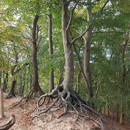 Vintage Relax Met Fijne Hottub * فورتهاوزن
