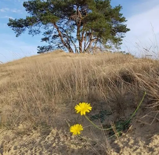 Vintage Relax Met Fijne Hottub *