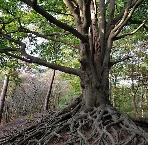 Vintage Relax Met Fijne Hottub Шале *