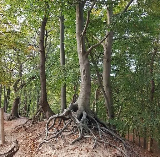 Vintage Relax Met Fijne Hottub * Вортхёйзен